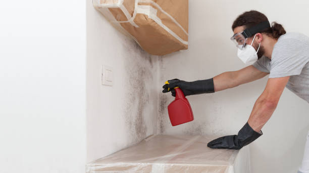 Professional Bathroom Mold Removal technician working in Micro, NC