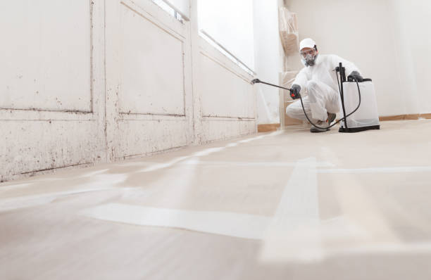 24/7 Emergency Bathroom Mold Removal experts in Micro, NC